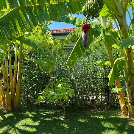 Breath Academia Homestay Urla