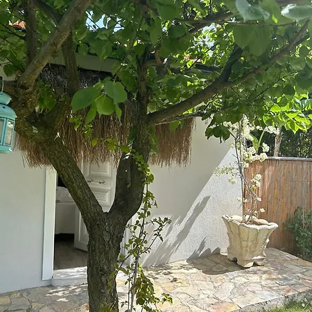 Accommodatie bij particulieren Breath Academia Urla